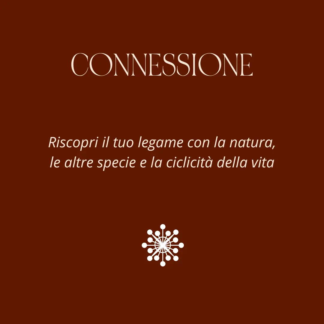 connessione